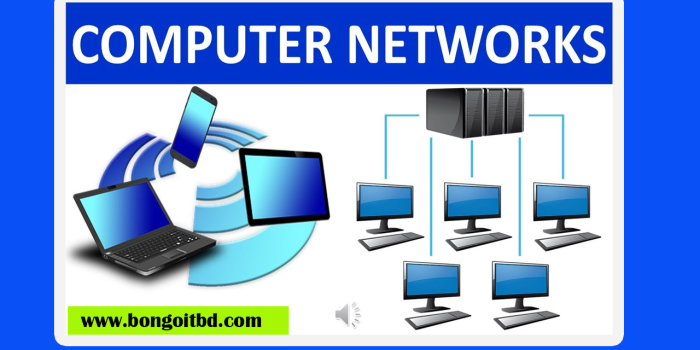 What is Computer Networking
